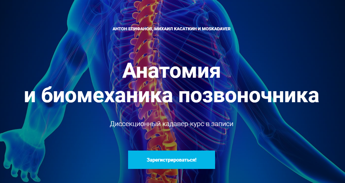 [Антон Епифанов, Михаил Касаткин] Анатомия и биоме_0.png